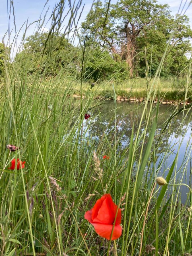 Gîte du Canal de Berry II Selles-sur-Cher Extérieur photo